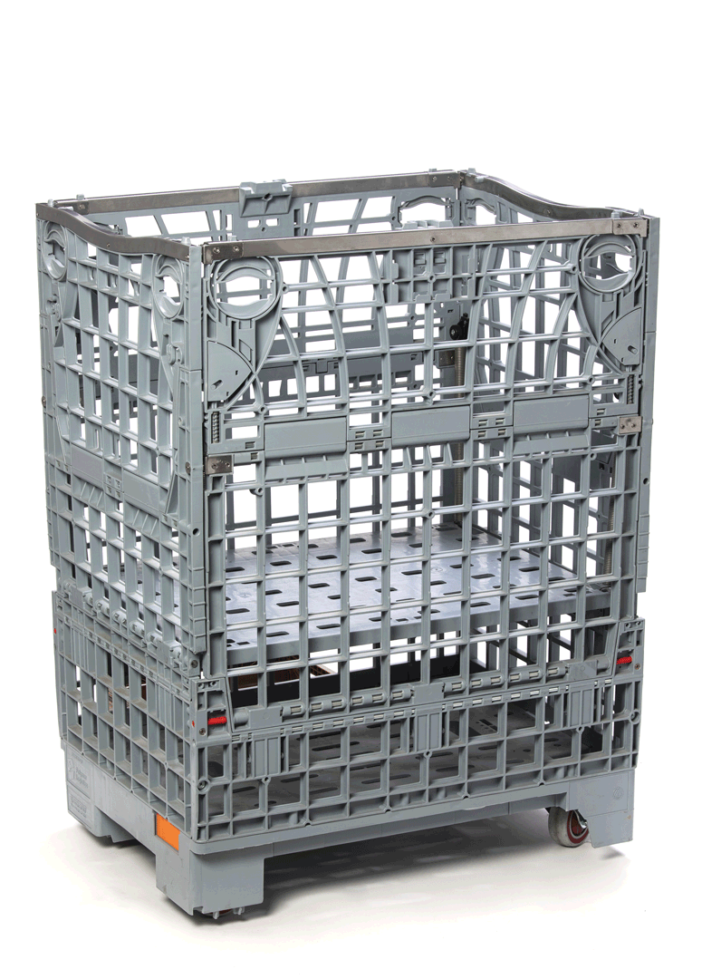 Dynamic Egg Shipper
