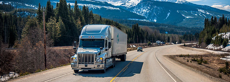 Gallery Image Cleanpal- US Size