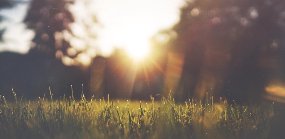 Ever wondered what happens to Polymer produce crates when they leave store?
