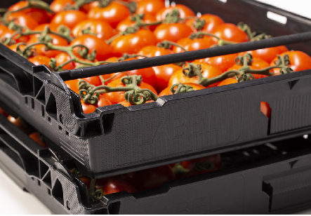 Gallery Image Banana RPC