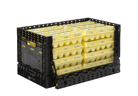 Eggs RPC – 2 Dozen