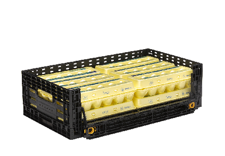 Eggs RPC – 1 Dozen