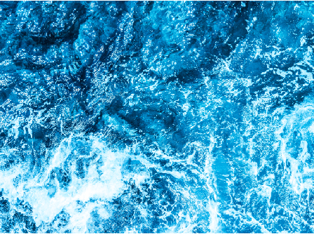 Cleaning & Maintenace