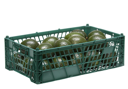 Avocado Crate