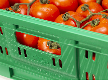 Gallery Image Banana RPC