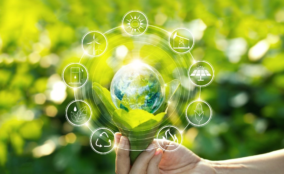 All the information you need 